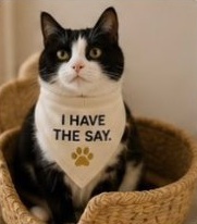A tuxedo cat in a cream I Have the Say bandana sits in a basket.