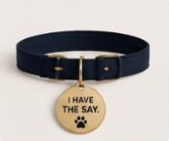 Navy collar with a gold I Have the Say tag